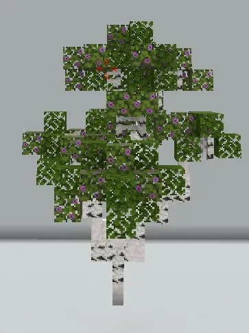 Small Birch Tree