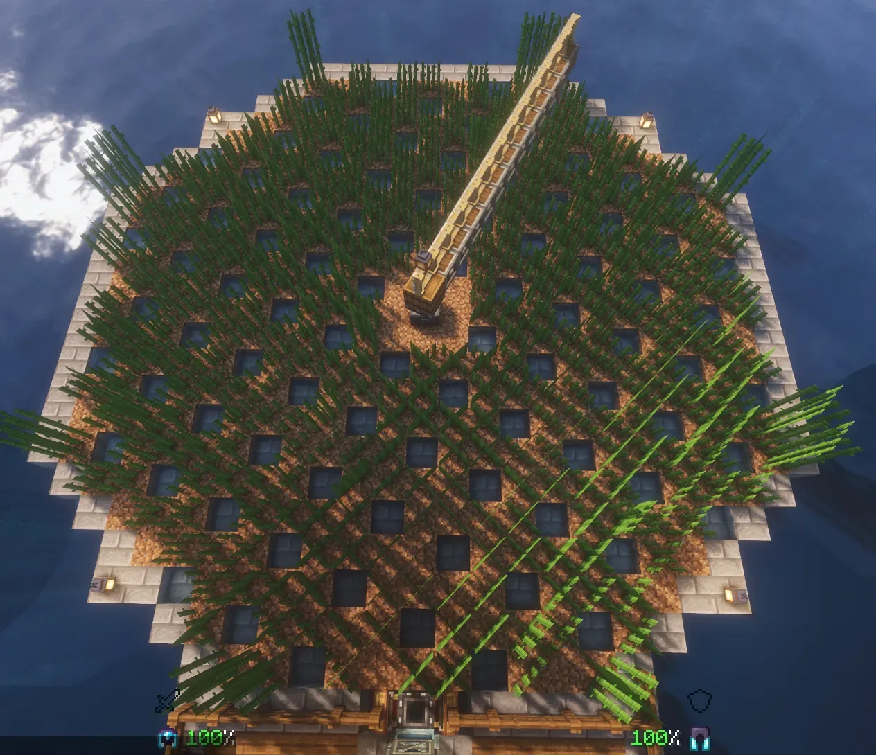 Sugarcane farm