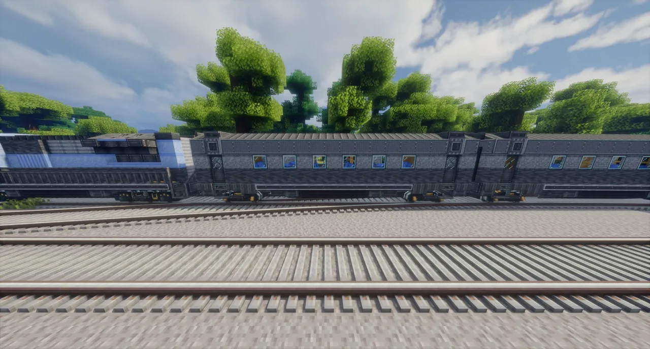 Passenger carriage