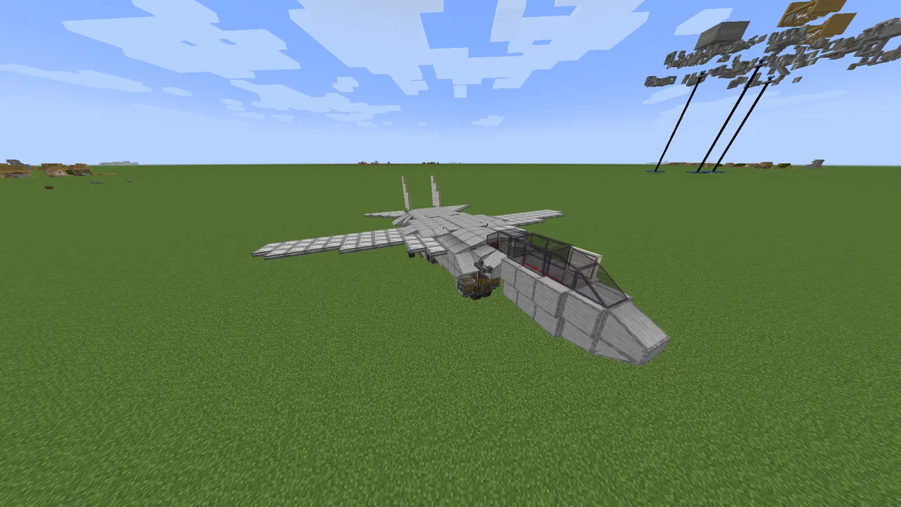 F-14 jet