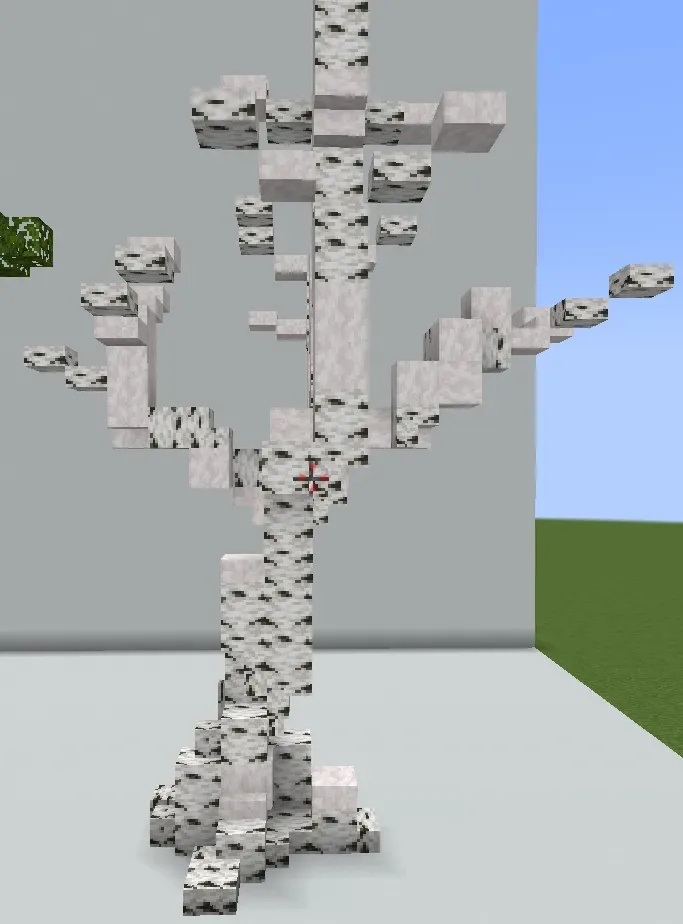 Big Birch Tree No Leaves