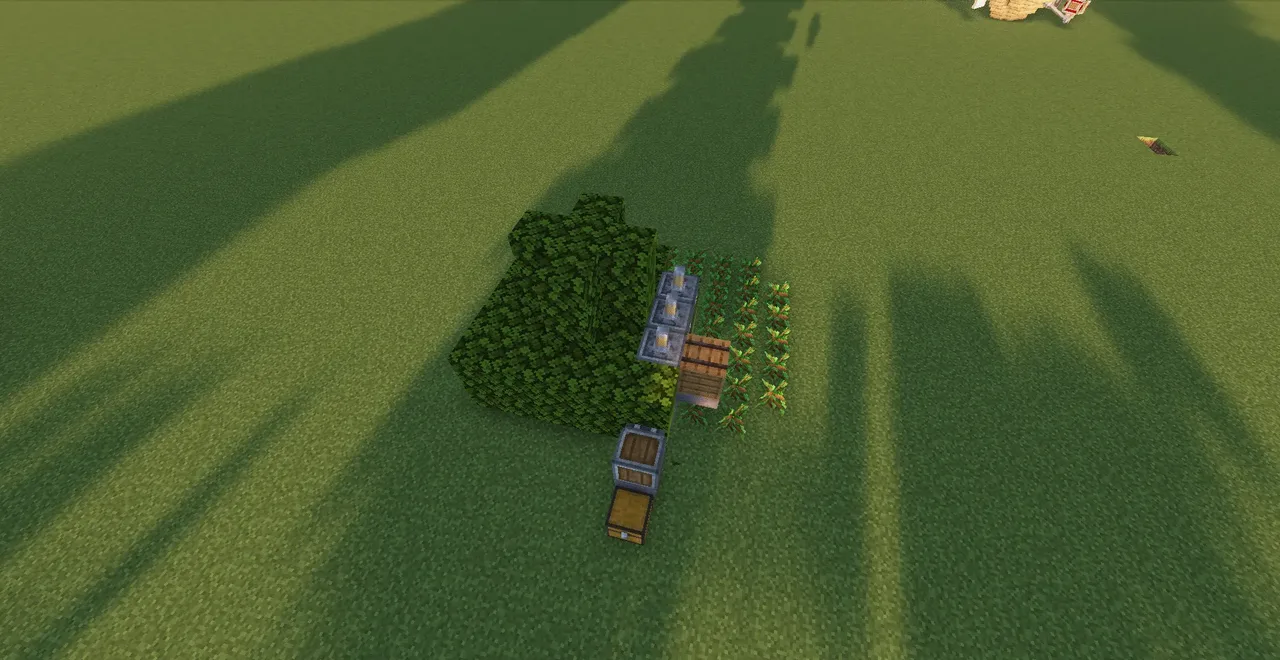 Small tree farm