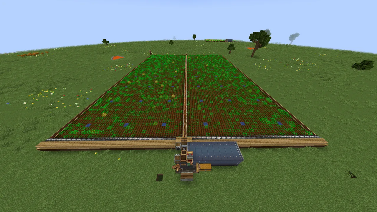 Large scale wheat farm