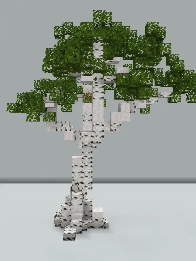 Big Birch Tree