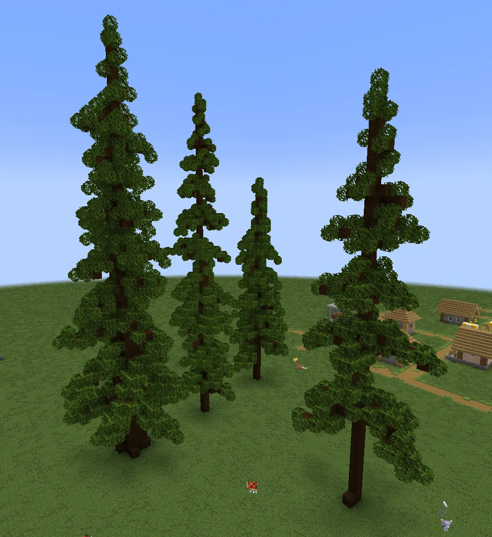 Spruce trees
