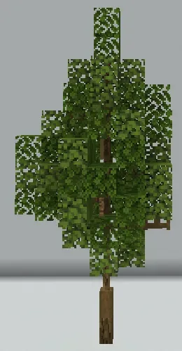 Small Oak Tree